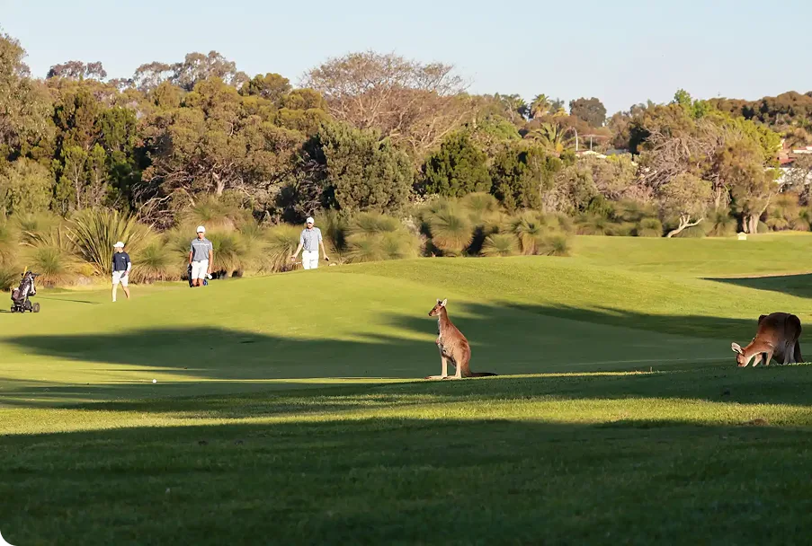 Golf